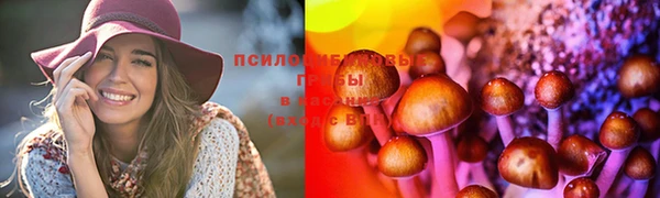спиды Дмитриев