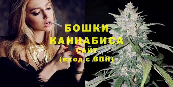 спиды Дмитриев