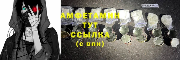 спиды Дмитриев