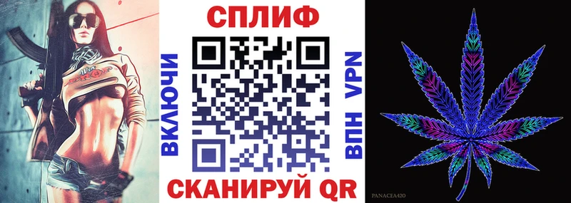 Купить закладки  Кириши  Марихуана THC 21% 